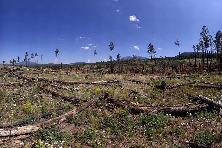 Wing Mountain, Arizona, August 30, 2011